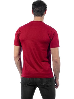 Sıfır Yaka Tişört, Bordo -113E315- Bisiklet Yaka Tshirt, T-shirt