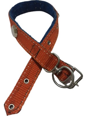 Kozak Orta Irk Süslü Köpek Tasmasi Boy 60 cm En 3 cm
