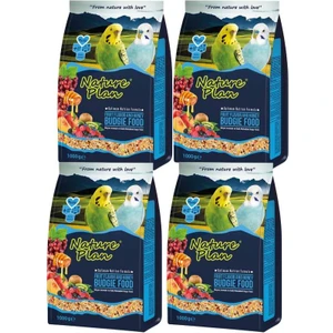 Nature Plan Meyve Aromalı+ Ballı Muhabbet Yemi 1000GR x 4 Adet