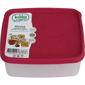 Hobby Life Alaska Nofrost Saklama Kabı 0,65 Litre Fuşya