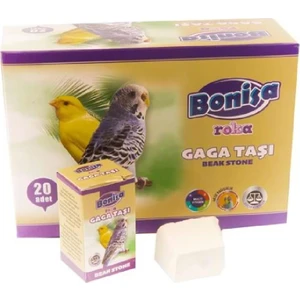 Roka Gaga Taşı