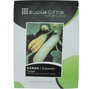 Küçük Çiftlik Kabak Toygar 10GR