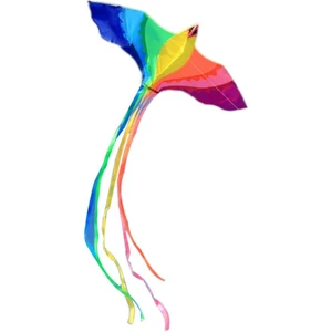Çocuklar Için Uçan Araçları ile Vivid Phoenix Uçurtma Aile Gezileri B