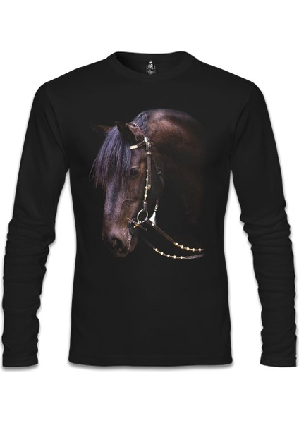 At 2 Siyah Erkek Sweatshirt