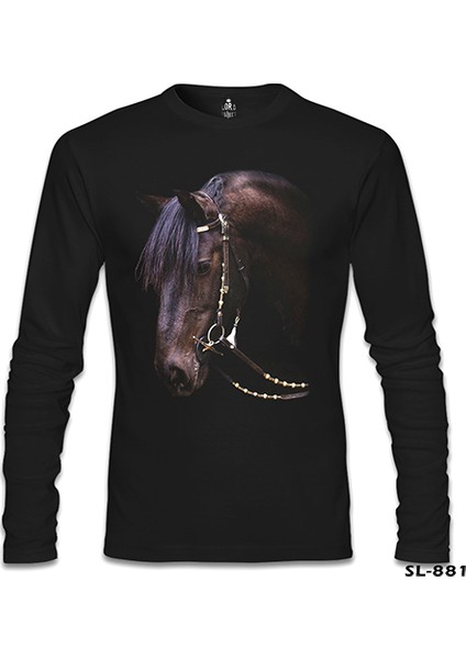 At 2 Siyah Erkek Sweatshirt fiyatları