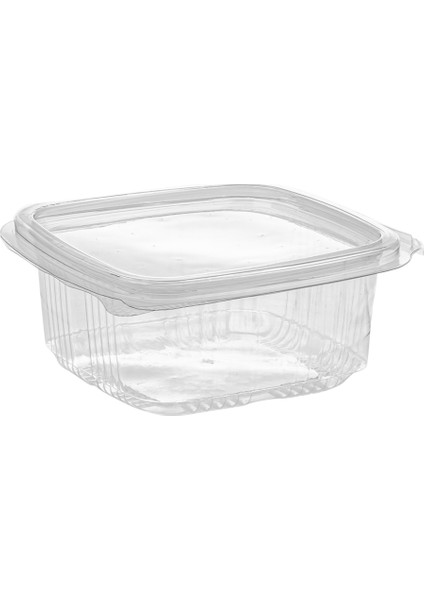 250 gr Kapaklı Plastik Sızdırmaz Kap (100 Adet)