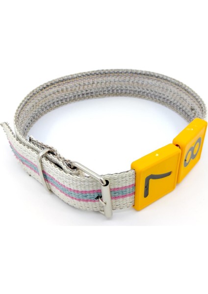 30 Hayvanlık Tokalı Tipi Küçükbaş Numaratör Kayışı + Numaratör Seti