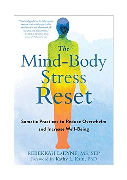 The Mind-Body Stress Reset: Somatic Practices To Reduce Overwhelm And Increase Well-Being - Rebekkah LaDyne