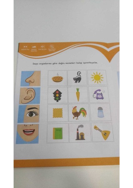 Dikkat Güçlendirme Seti Plus 4 Yaş (Ciltli)