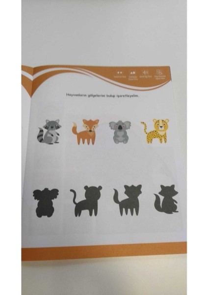 4-8 Yaş Dikkat Geliştiren Kitap Seti (Ciltli) indirimleri