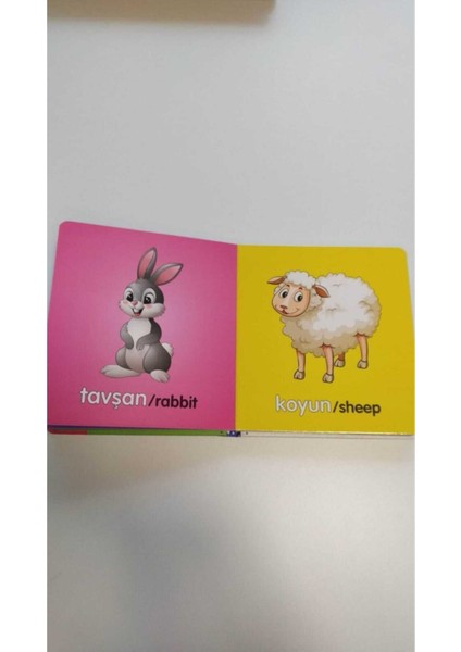 Bebek Ilk Kitap Seti (Ciltli)