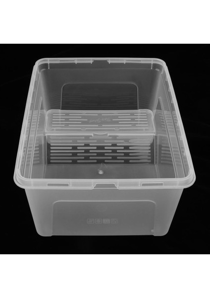 Rampa Platformu Şeffaf ile Sürüngen Kaplumbağa Tankı Teraryum Akvaryum (Yurt Dışından) fiyatları