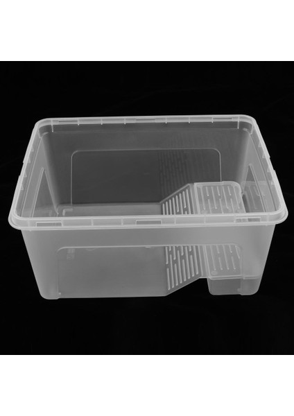 Rampa Platformu Şeffaf ile Sürüngen Kaplumbağa Tankı Teraryum Akvaryum (Yurt Dışından) fırsatları