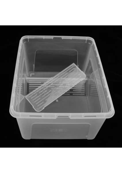 Rampa Platformu Şeffaf ile Sürüngen Kaplumbağa Tankı Teraryum Akvaryum (Yurt Dışından) indirimleri