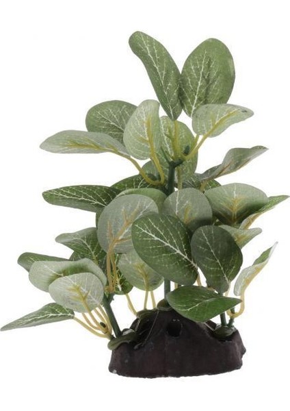 Sürüngen Veya Akvaryum Tankı Için 2x Reçine Yapay Su Çim Tesisi Yeşil Tip 2 (Yurt Dışından)