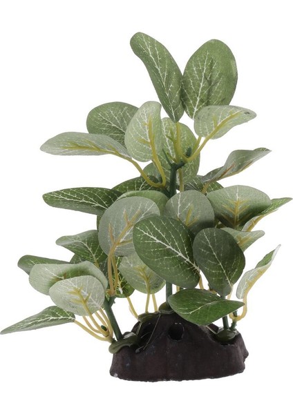 Sürüngen Veya Akvaryum Tankı Için 2x Reçine Yapay Su Çim Tesisi Yeşil Tip 2 (Yurt Dışından) fiyatları