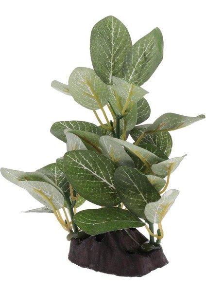 Sürüngen Veya Akvaryum Tankı Için 2x Reçine Yapay Su Çim Tesisi Yeşil Tip 2 (Yurt Dışından) modelleri