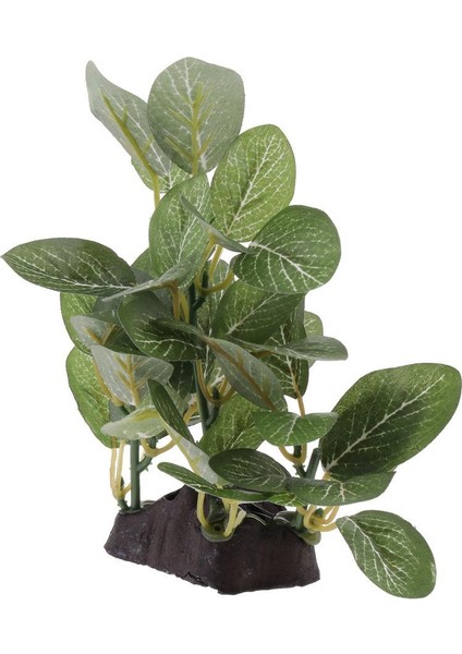 Sürüngen Veya Akvaryum Tankı Için 2x Reçine Yapay Su Çim Tesisi Yeşil Tip 2 (Yurt Dışından) indirimleri