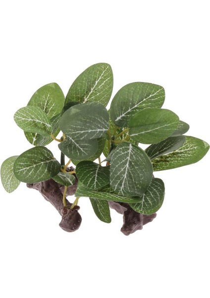 Sürüngen Veya Akvaryum Tankı Için 3 Adet / Takım Reçine Yapay Su Çim Tesisi (Yurt Dışından) fırsatları