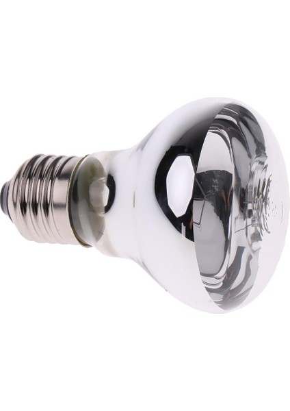 R65 Kızılötesi Pet Isıtıcı Lambası Isıtma Lambası Gümüş 25 W (Yurt Dışından)