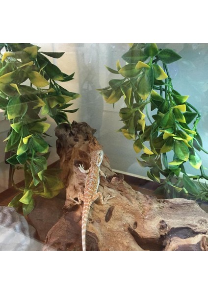 20 "sürüngen, Yılan, Kaplumbağa, Vivarium Bitkileri Dekor Süsleme Yapay Eaf Vine L (Yurt Dışından) fiyatları