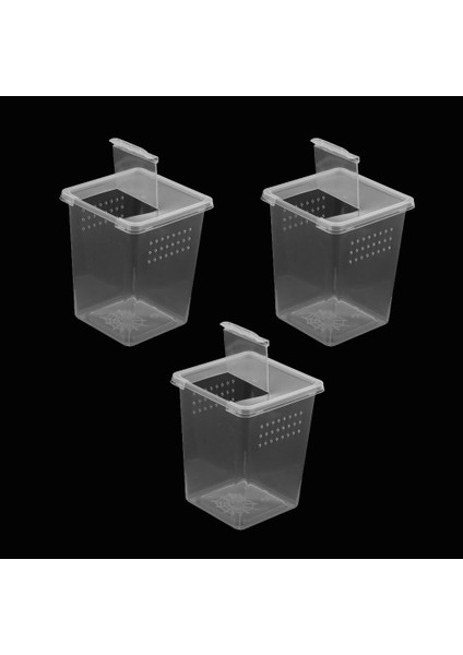 3x Plastik Böcek Kertenkele Örümcek Habitat Besleme Kutusu Konteyner 8X8X11 cm 3 Adet (Yurt Dışından)