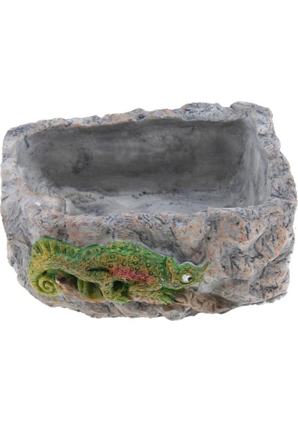 Sürüngen Gıda Çanak Besleme Kase Su Solucan Besleyici Bukalemun Büyük BL-7002 (Yurt Dışından)