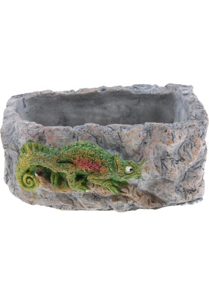 Sürüngen Gıda Çanak Besleme Kase Su Solucan Besleyici Bukalemun Büyük BL-7002 (Yurt Dışından) fiyatları