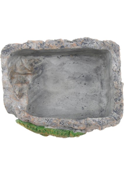 Sürüngen Gıda Çanak Besleme Kase Su Solucan Besleyici Bukalemun Büyük BL-7002 (Yurt Dışından) modelleri