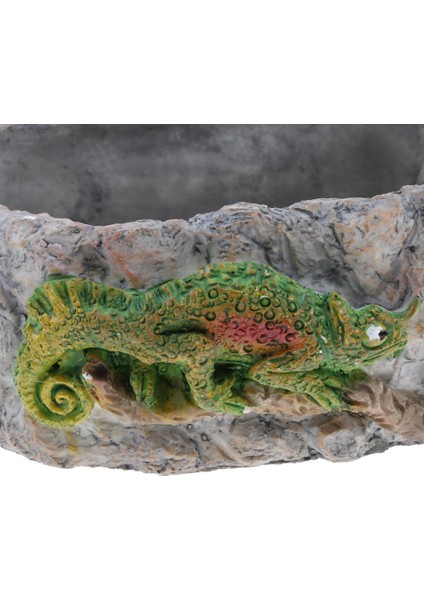 Sürüngen Gıda Çanak Besleme Kase Su Solucan Besleyici Bukalemun Büyük BL-7002 (Yurt Dışından) indirimleri