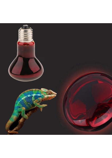Sürüngen Kaplumbağa Amfibi Nightlight Uva Kızılötesi Işık E27 Isı Lambası 40 W (Yurt Dışından) indirimleri