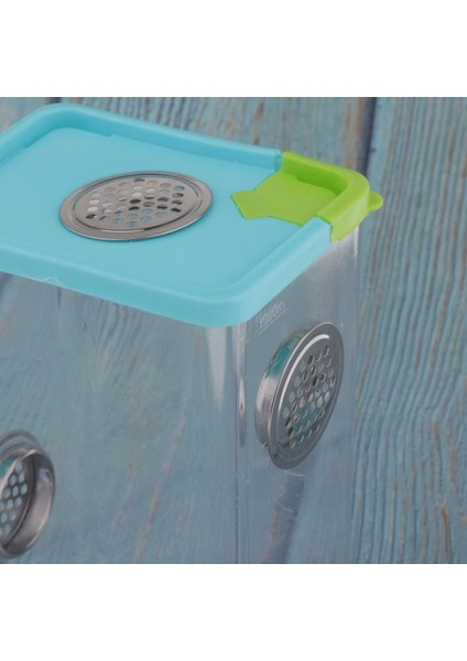 Sürüngen Amfibi Kertenkeleler Için 2x Sürüngen Örümcek Kuluçka Kutusu Besleme Kutusu (Yurt Dışından) fırsatları