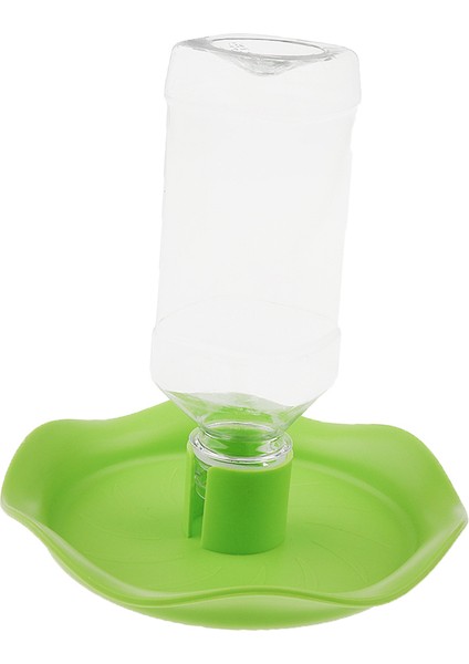 3x Otomatik Kase Sürüngen Kertenkele Gıda Su Besleyici Dağıtıcı Şişe Yeşil (Yurt Dışından) modelleri
