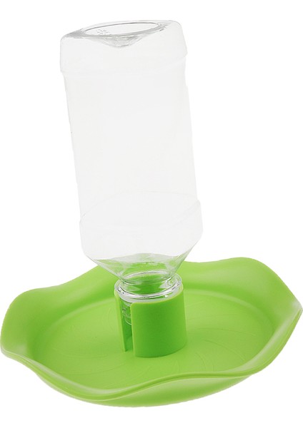 3x Otomatik Kase Sürüngen Kertenkele Gıda Su Besleyici Dağıtıcı Şişe Yeşil (Yurt Dışından) fırsatları