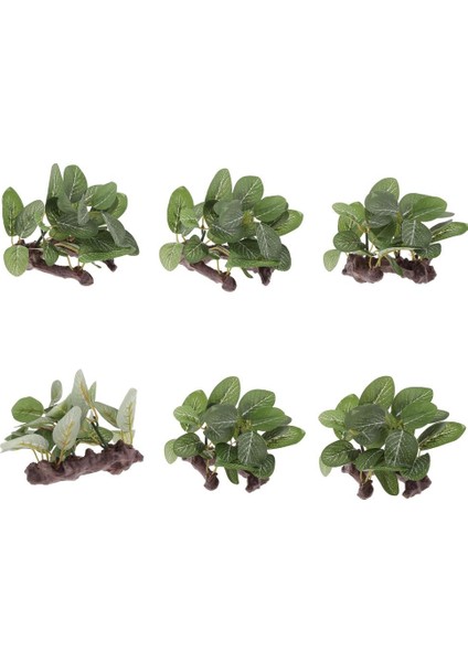 Sürüngen Veya Akvaryum Tankı Için 6 Adet / Takım Reçine Yapay Su Çim Tesisi (Yurt Dışından)