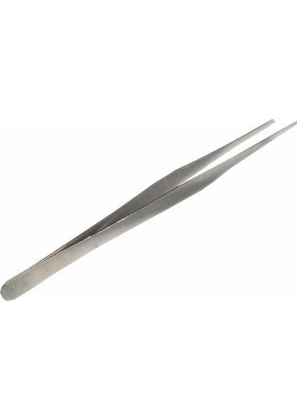 20 cm Paslanmaz Çelik Cımbız Pet Böcekler Bahçe Düz Besleme Aracı Düz ​​20 cm (Yurt Dışından)