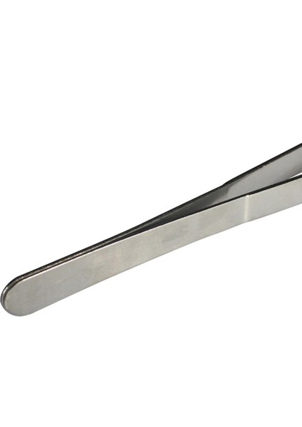 20 cm Paslanmaz Çelik Cımbız Pet Böcekler Bahçe Düz Besleme Aracı Düz ​​20 cm (Yurt Dışından)