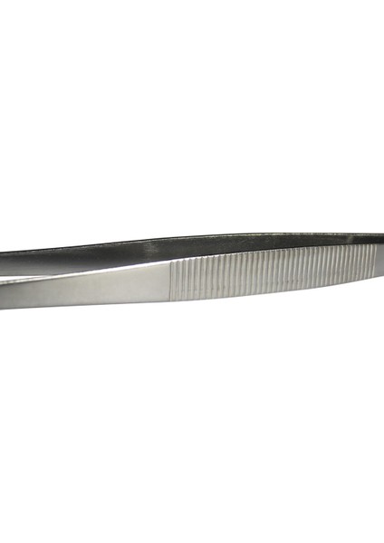 20 cm Paslanmaz Çelik Cımbız Pet Böcekler Bahçe Düz Besleme Aracı Düz ​​20 cm (Yurt Dışından)