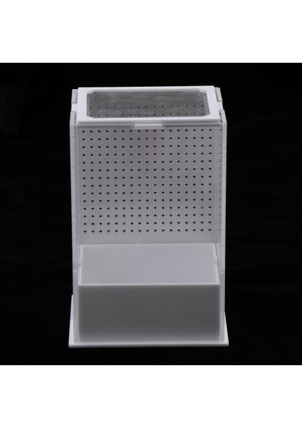 2 Adet Akrilik Kutu Böcek Sürüngen Üreme Besleme Konteyner Kertenkele Kaplumbağa Örümcek (Yurt Dışından) fiyatları