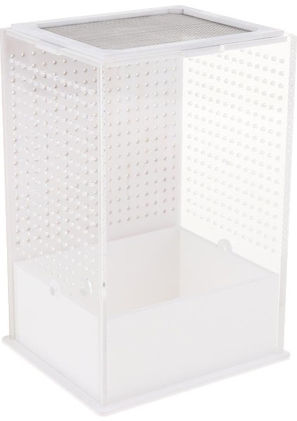 2 Adet Akrilik Kutu Böcek Sürüngen Üreme Besleme Konteyner Kertenkele Kaplumbağa Örümcek (Yurt Dışından) modelleri