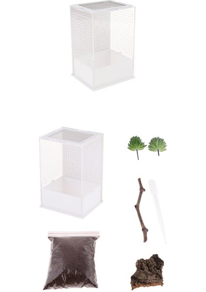 2 Adet Akrilik Kutu Böcek Sürüngen Üreme Besleme Konteyner Kertenkele Kaplumbağa Örümcek (Yurt Dışından) fırsatları