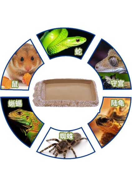 Sürüngen Havzası Simülasyon Peyzaj Besleme Kase Kaplumbağa Gecko Kertenkele Için (Yurt Dışından) modelleri