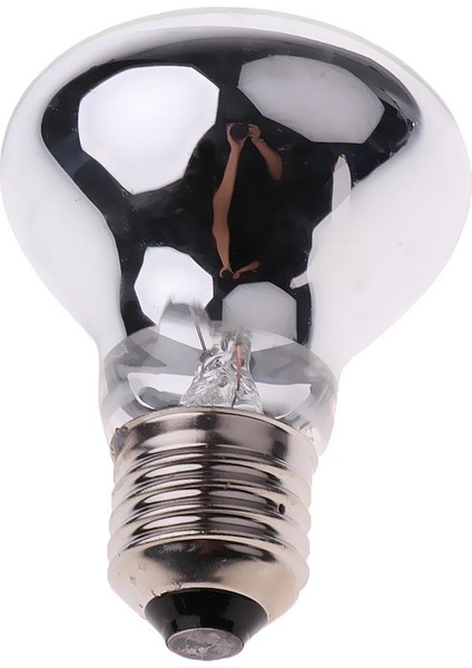R65 Pet Isıtma Kızılötesi Lamba Kış Isı Yeminli Lamba Ampul E27 Gümüş 75 W (Yurt Dışından)