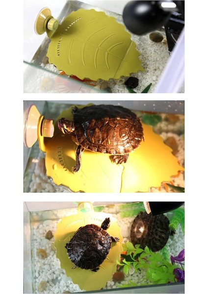 2x Sürüngen Kaplumbağa Iskelesi Yaprak Şekil Yüzen Dock Basking Island Platform S + L (Yurt Dışından) fırsatları