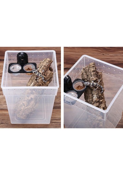 Gecko, Kertenkele Için 2x Çift Sürüngen Besleme Kase Vida Gıda Su Tabağı (Yurt Dışından) fiyatları