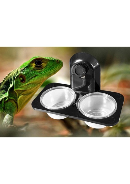 Gecko, Kertenkele Için 2x Çift Sürüngen Besleme Kase Vida Gıda Su Tabağı (Yurt Dışından) modelleri