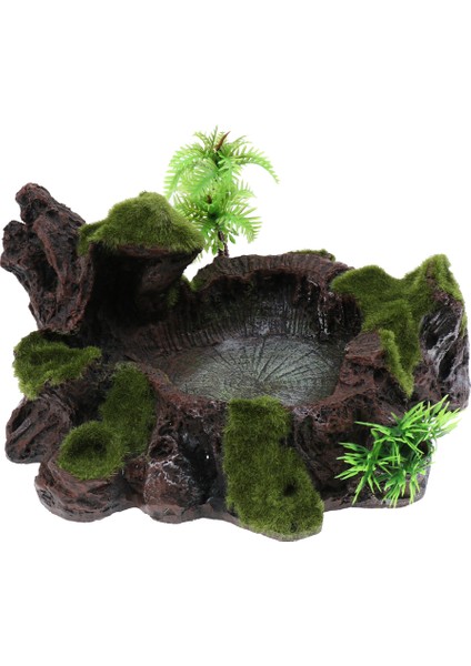 2 Adet Bitki Dekor Sürüngen Kase Besleyici Çanası Su, Gıda, Kalsiyum Tozu, Jel, (Yurt Dışından) fırsatları