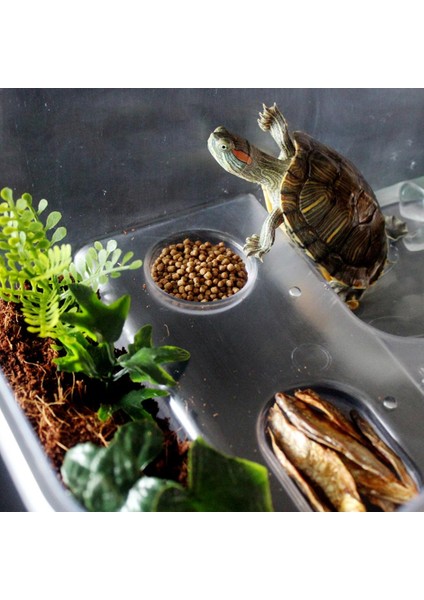3 Parça Plastik Sürüngen Terrapin Kaplumbağa Kaplumbağa Tankı Vivarium Besleme Kutusu (Yurt Dışından) fiyatları