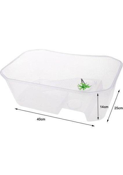 3 Parça Plastik Sürüngen Terrapin Kaplumbağa Kaplumbağa Tankı Vivarium Besleme Kutusu (Yurt Dışından) modelleri
