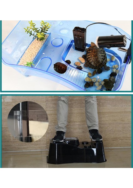 3 Parça Plastik Sürüngen Terrapin Kaplumbağa Kaplumbağa Tankı Vivarium Besleme Kutusu (Yurt Dışından) fırsatları